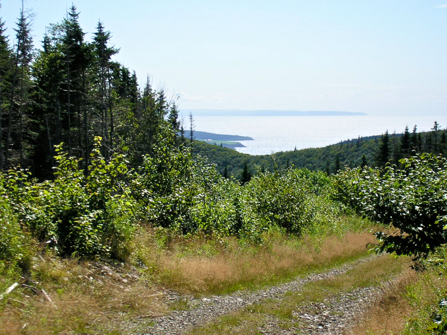 Countryside to the southwest from the Cape Mabou Road