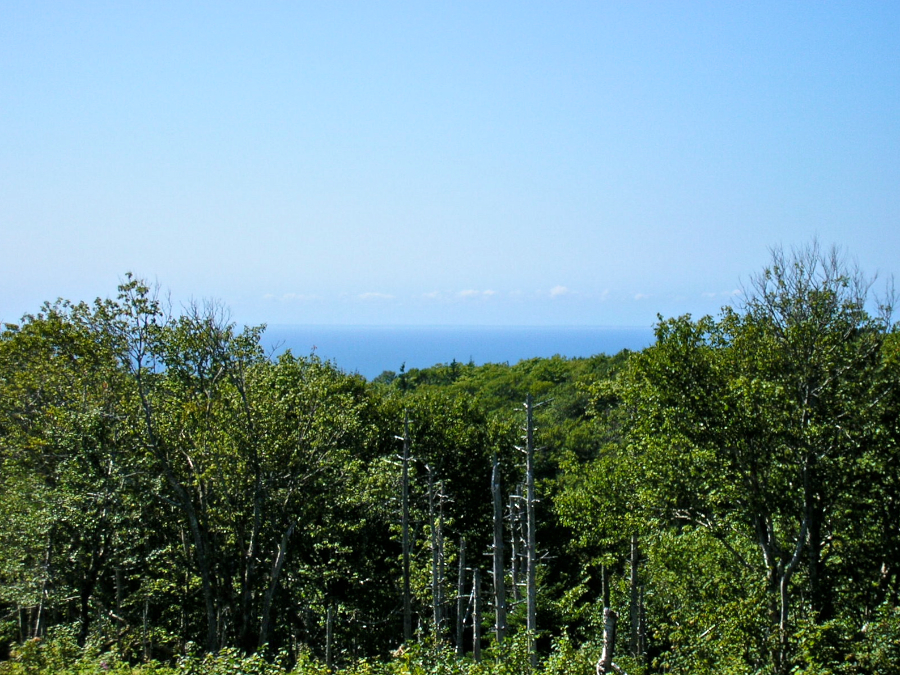 Countryside to the north of west from the Cape Mabou Road