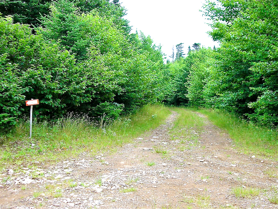 The western end of North Highlands Road