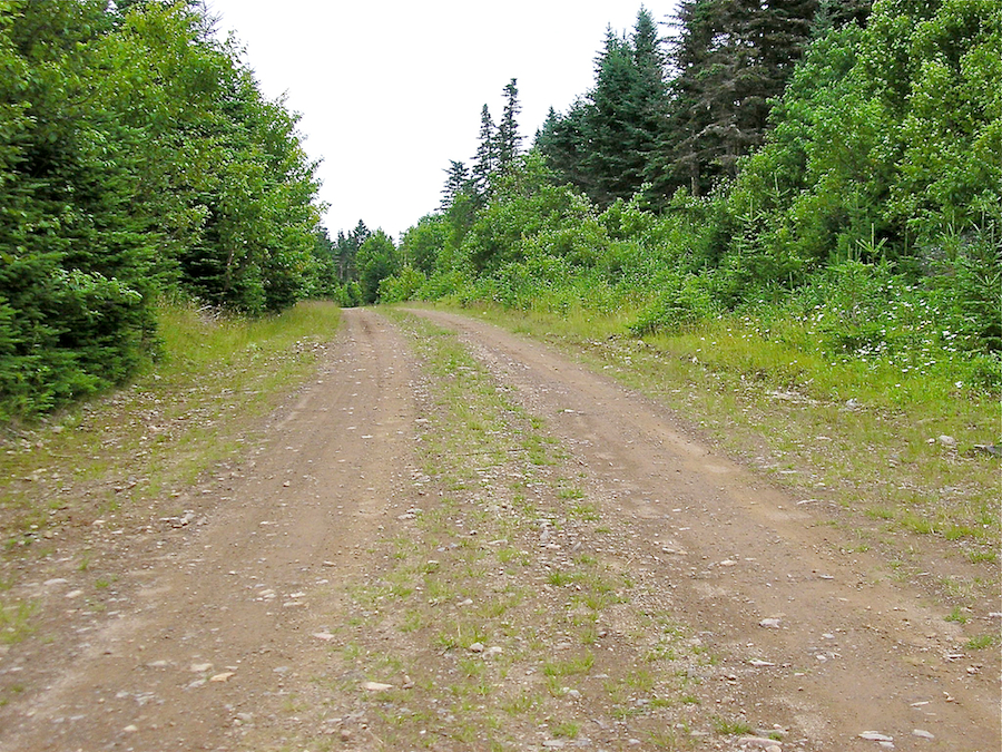 Cape Mabou Road looking north