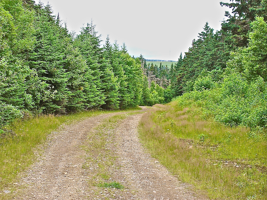 Cape Mabou Road at the top of the White Brook Ravine