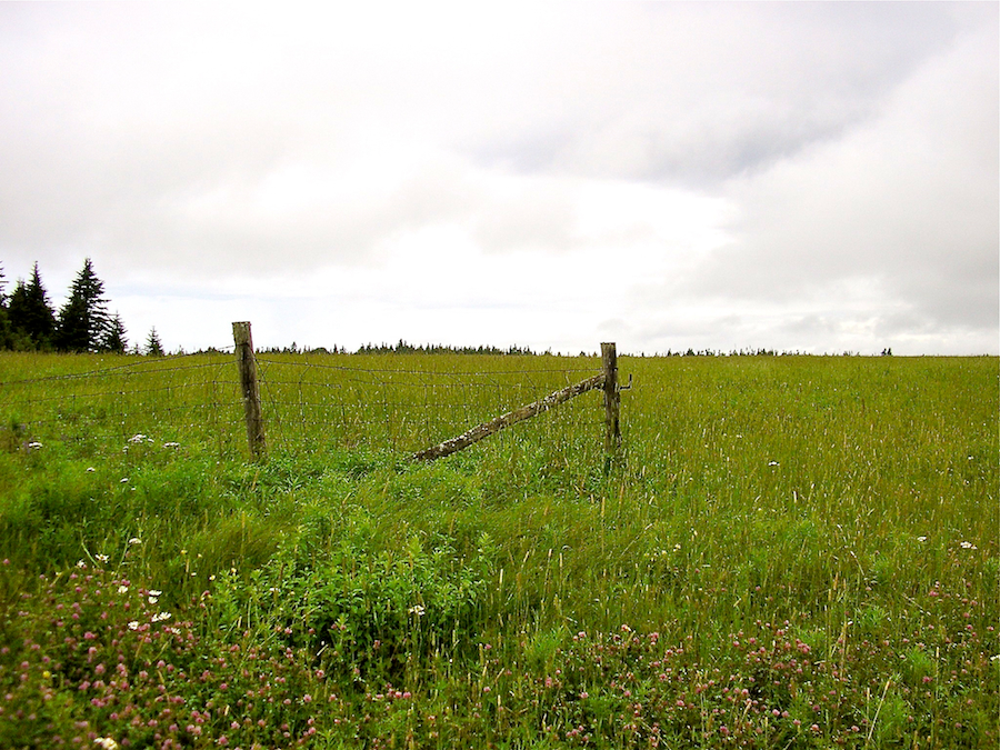 A field along the road