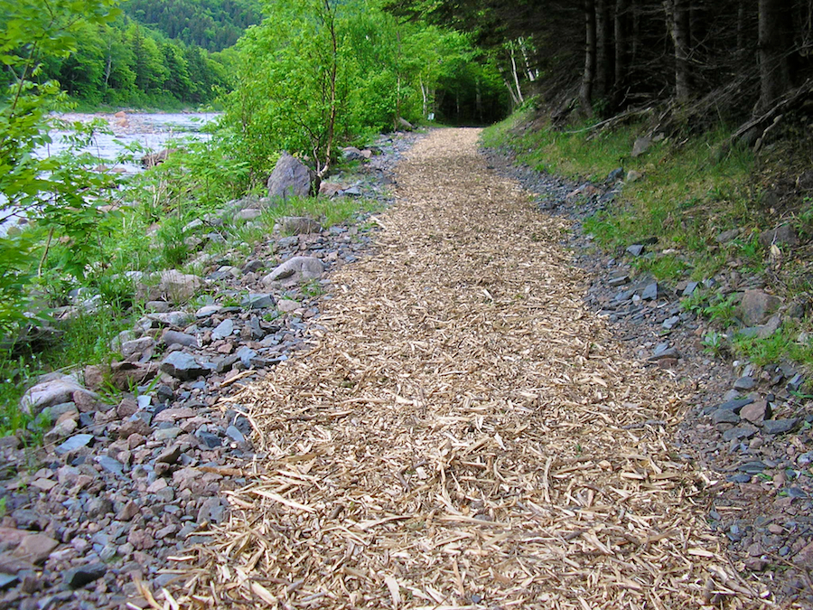 Les Trous de saumons (Salmon Pools) Trail near the Fence Pool