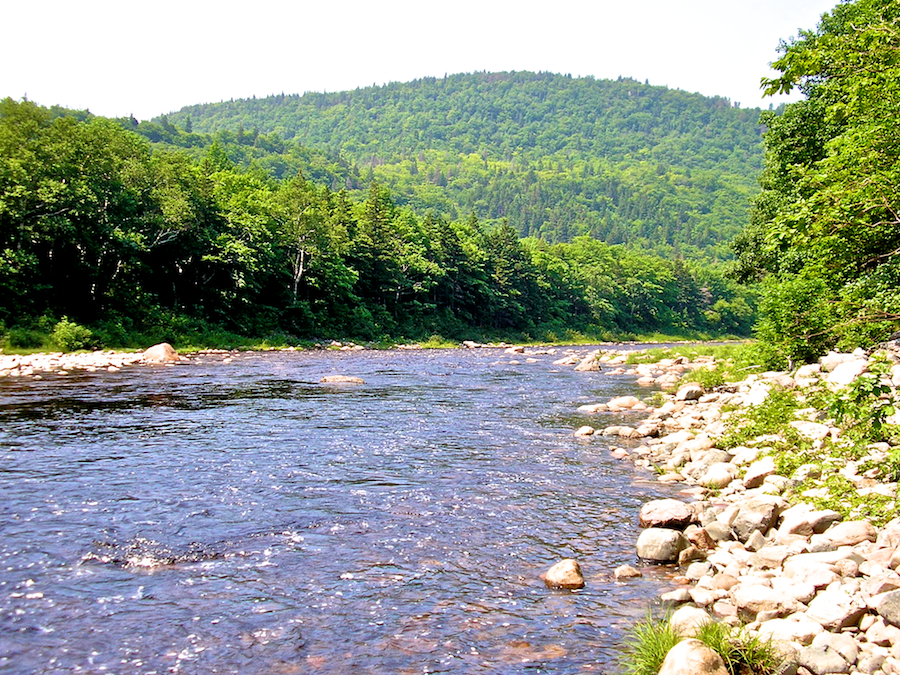 Looking down the Chéticamp River near the Fence Pool