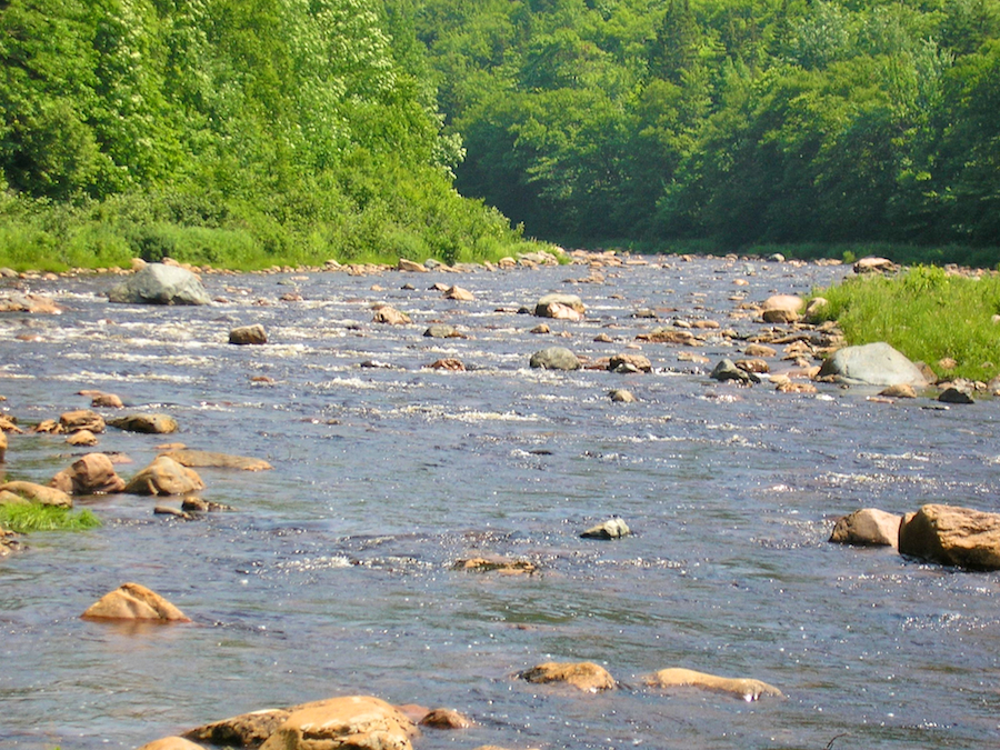 Looking down the Chéticamp River