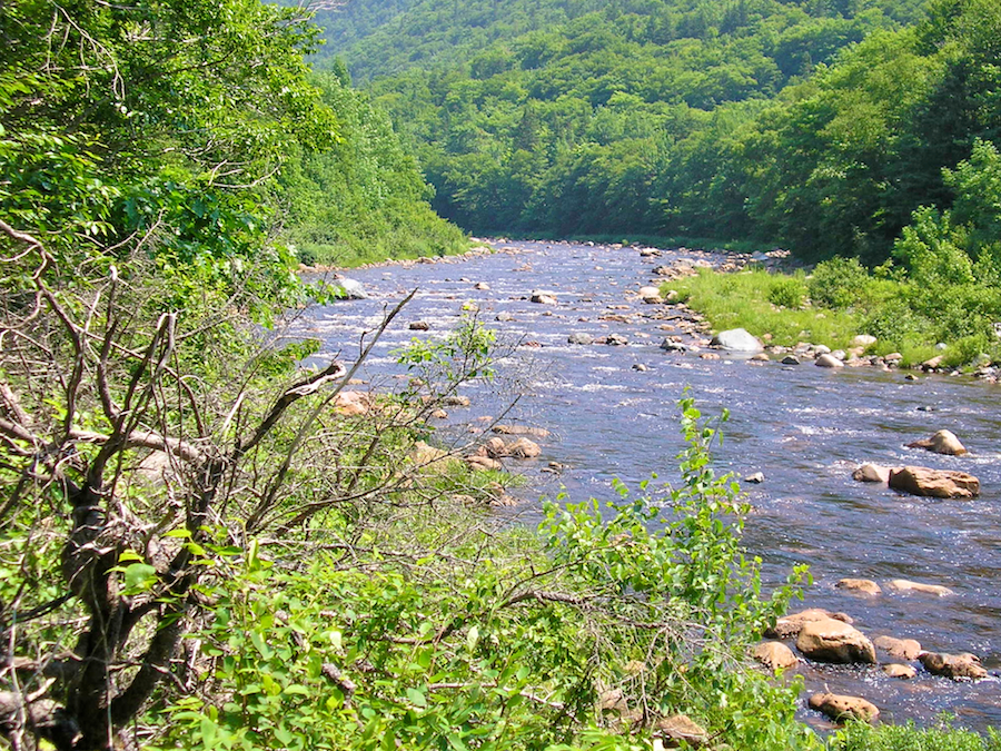 Looking up the Chéticamp River