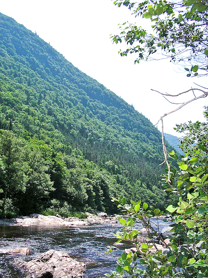 Looking down the Chéticamp River