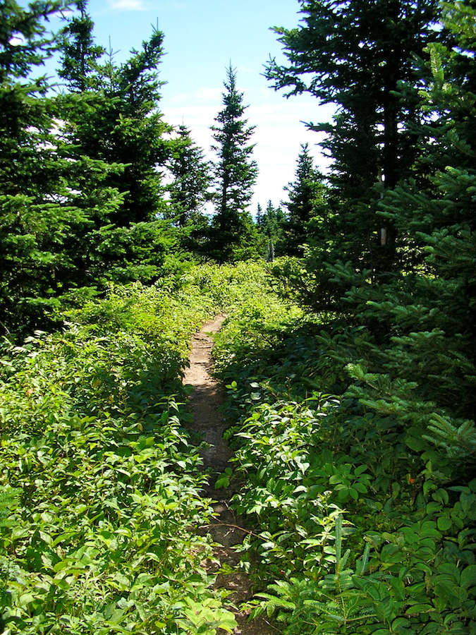 Trail across the Cape Smokey plateau between the fifth and sixth look-offs