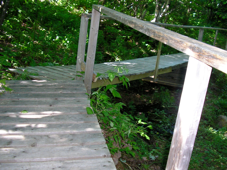 The Railed Footbridge
