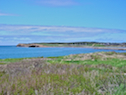 Schooner Pond Cove and Schooner Pond Head