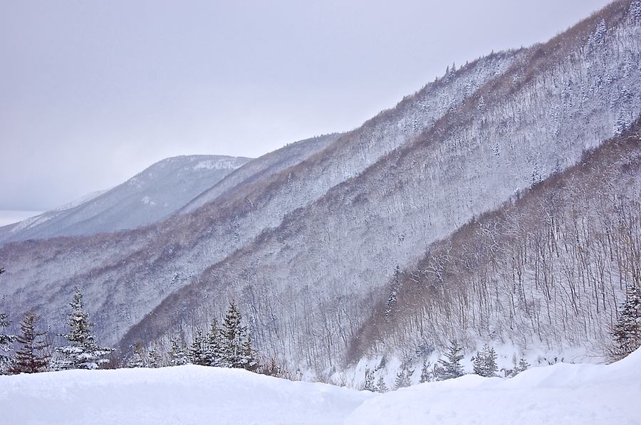 Descending North Mountain