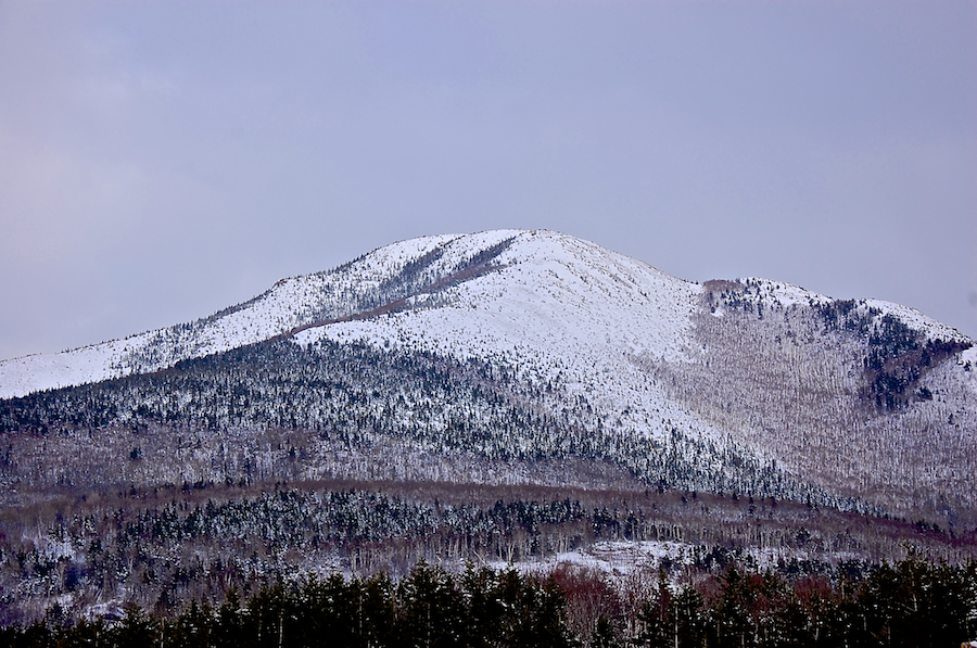 Roberts Mountain from Pleasant Bay