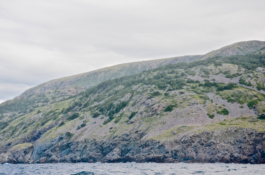 The coast just north of the mouth of Malcolms Brook