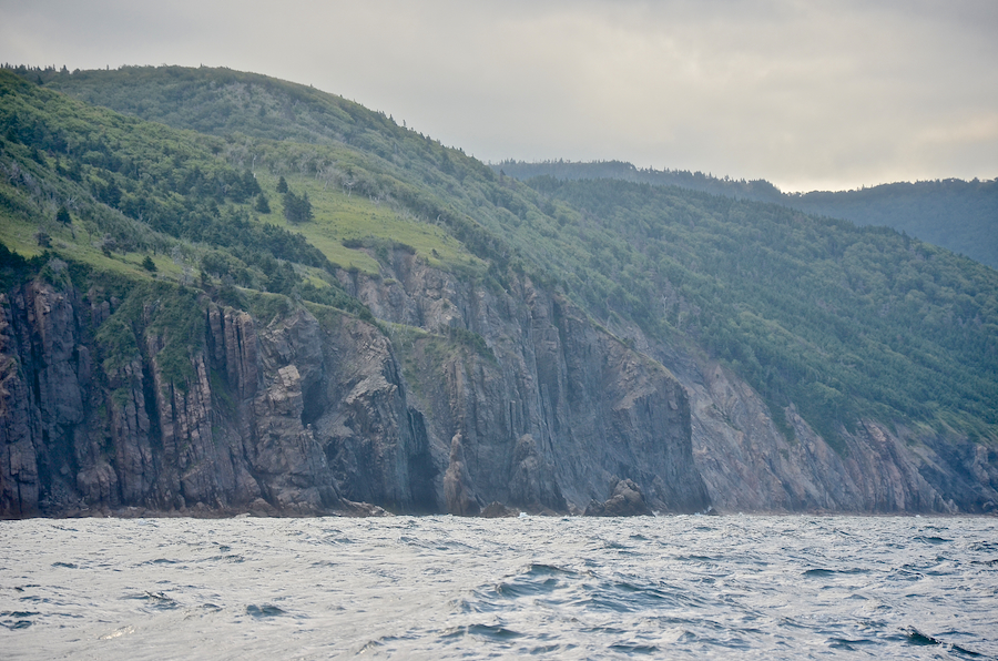 Rock pillars off the cliffs “Wreck Brook Mountain”