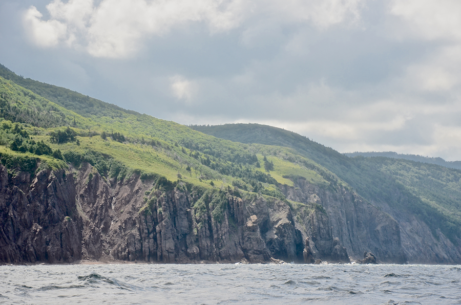 Rock pillars off the cliffs “Wreck Brook Mountain”