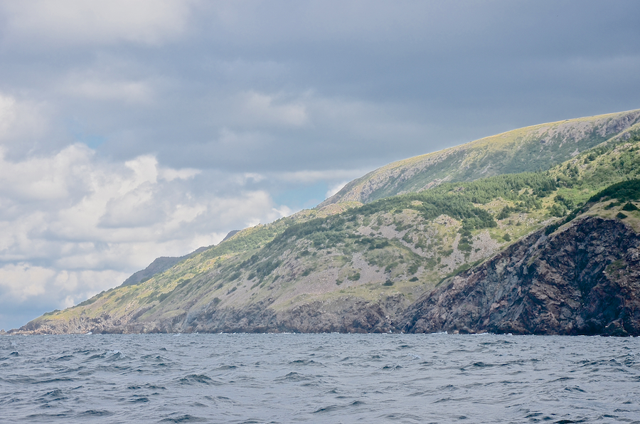 The coast from Delaneys Point to south of Malcolms Brook