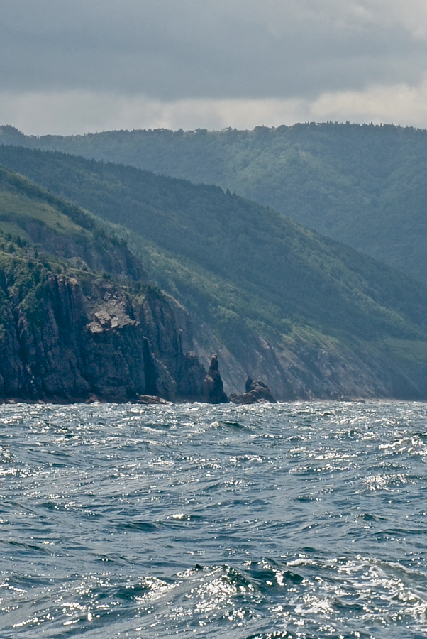 Rock pillars off the cliffs “Wreck Brook Mountain”