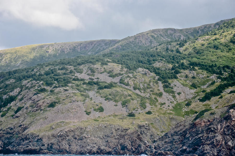 The coast at Malcolms Brook