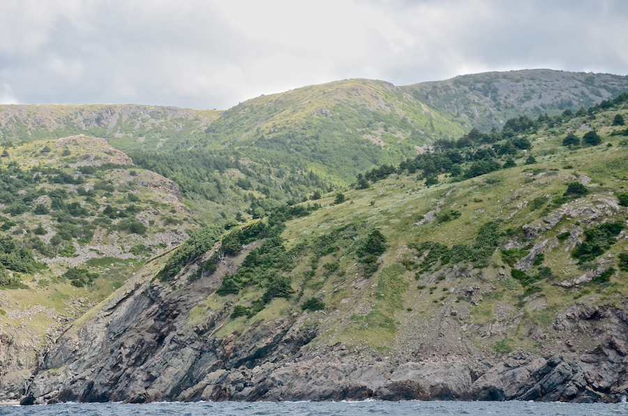 The coast south of the mouth of “Diamond Brook”