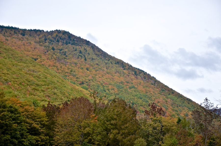 The slopes of Icy Mountain, part 5 of the panorama