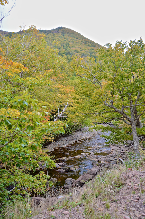 The Red River below Andrews Mountain