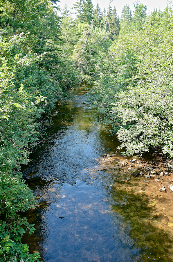 Looking downstream at Indian Brook from the Gairloch Mountain Road bridge