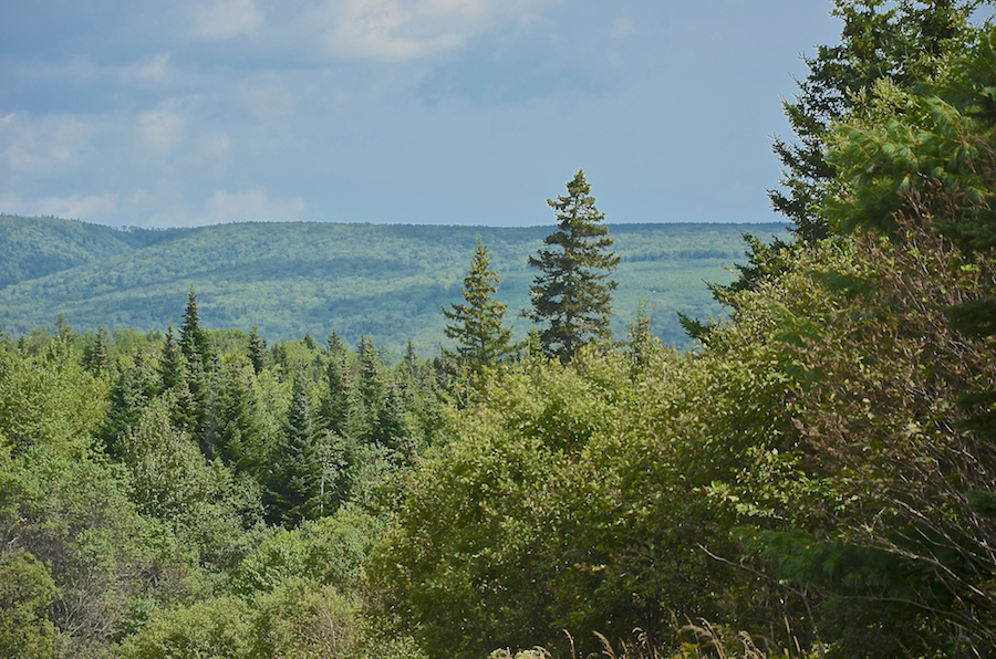 Looking across the Middle River Valley at the Cape Breton Highlands on the far side: Part 2 of 2